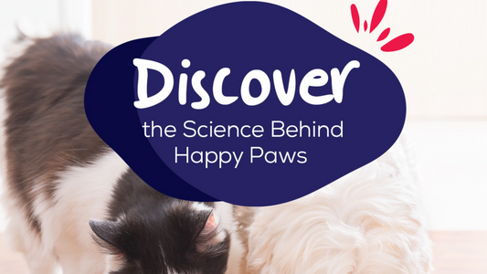 The Benefits of BARF for Your Pets: Why Dogs Thrive on a Raw Diet