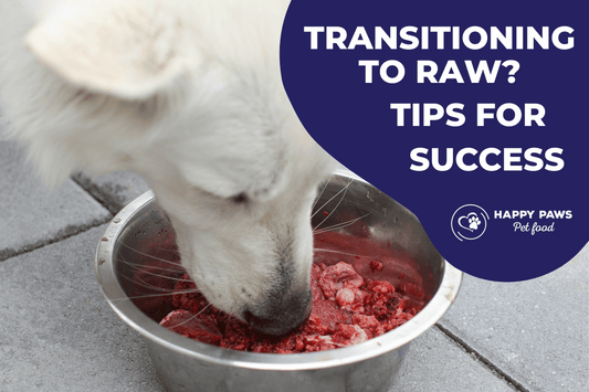 Tips for success from Happy Paws Pet Food when transitioning to raw feeding.