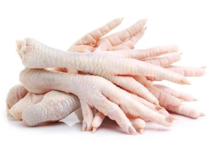 Raw Chicken Feet 1kg for dogs rich in glucosamine and dental health benefits
