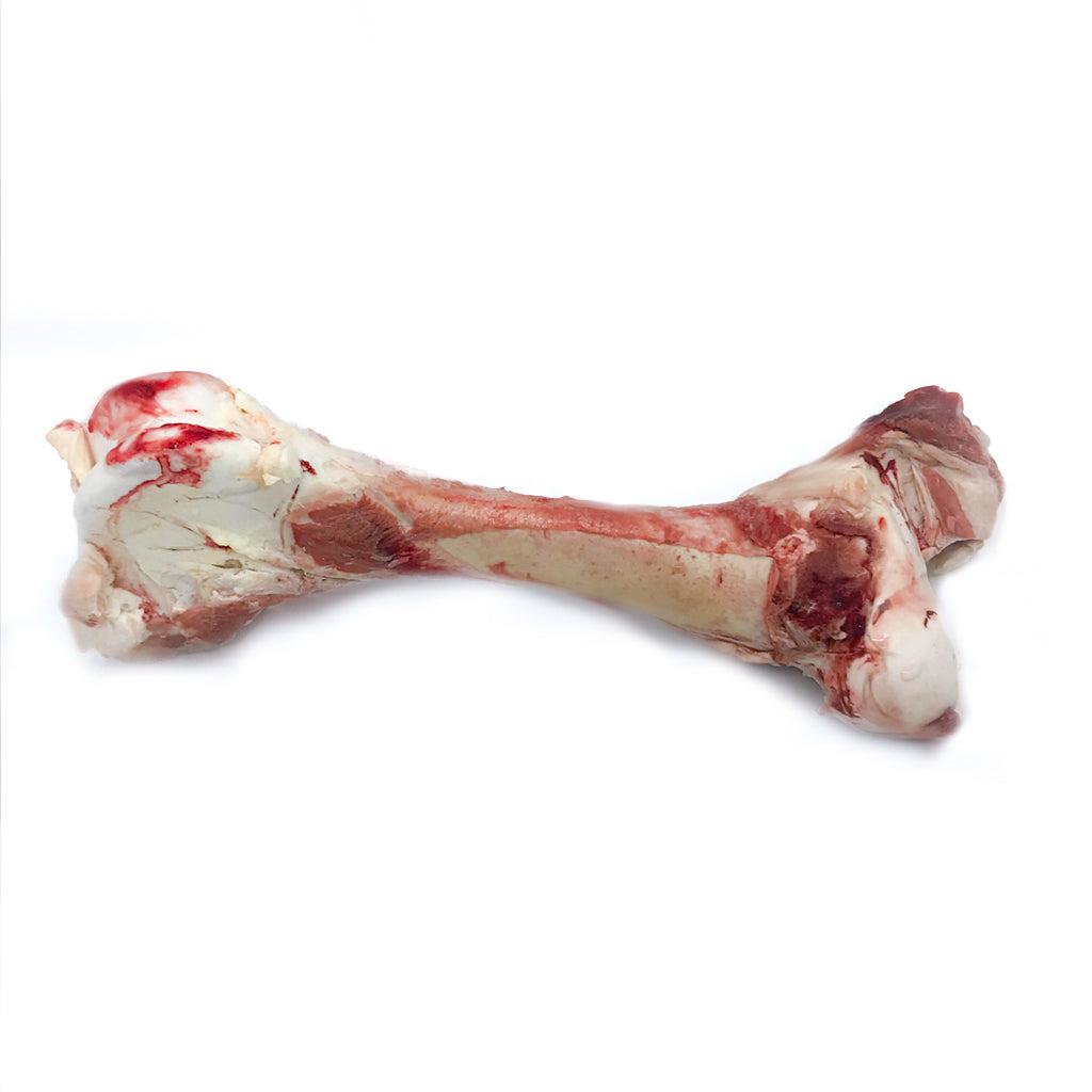 Whole raw beef marrow bone for large dogs dental hygiene and gum health