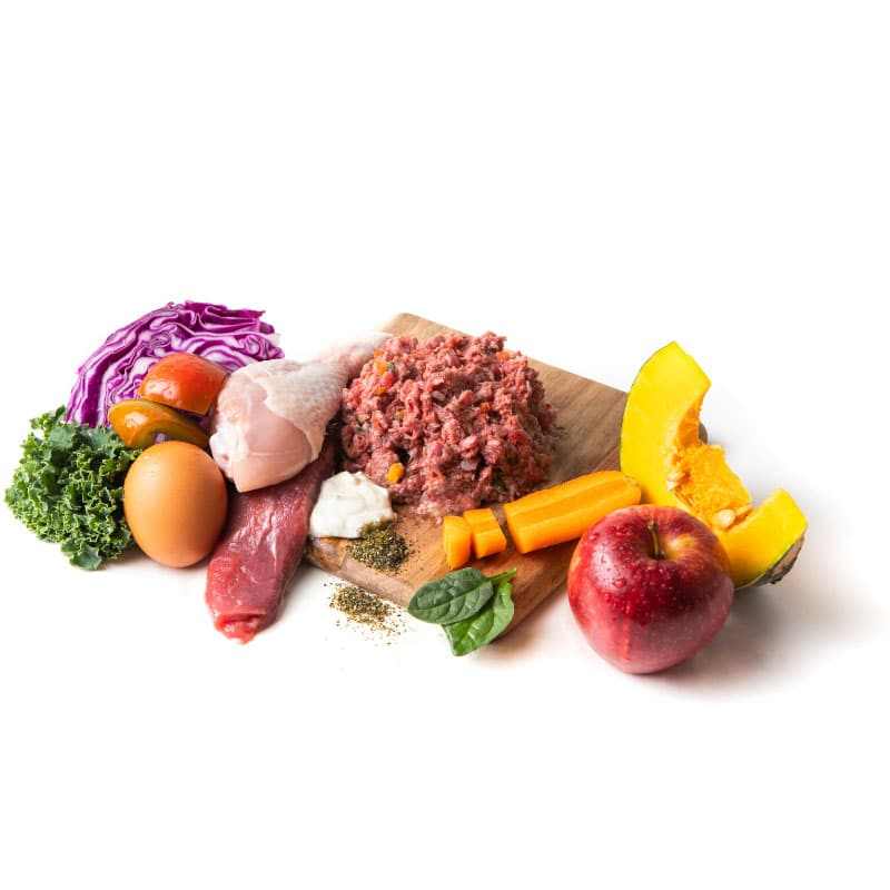 Mixed BARF raw ingredients including meat, vegetables, egg, and fruit for pet food