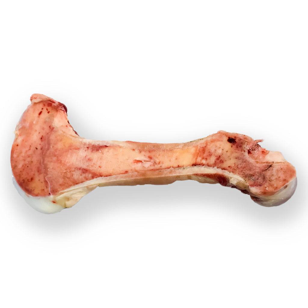 split beef marrow bone for dogs dental hygiene and gum health marrow bone split