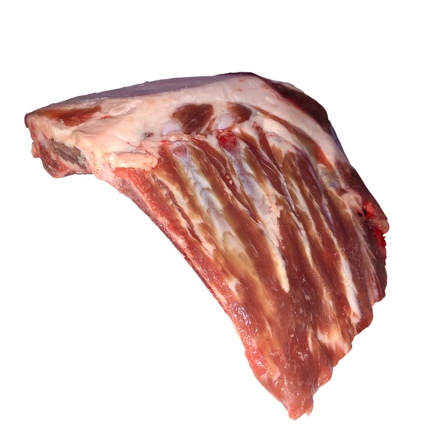 raw lamb breast plate bone for dog dental hygiene and gum health isolated on white background