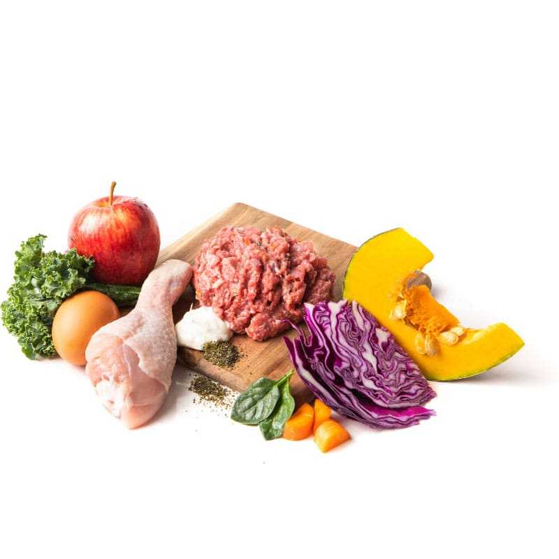 Organic Chicken BARF mix with raw chicken, minced meat, apple, egg, kale, pumpkin, purple cabbage, and vegetables on white background