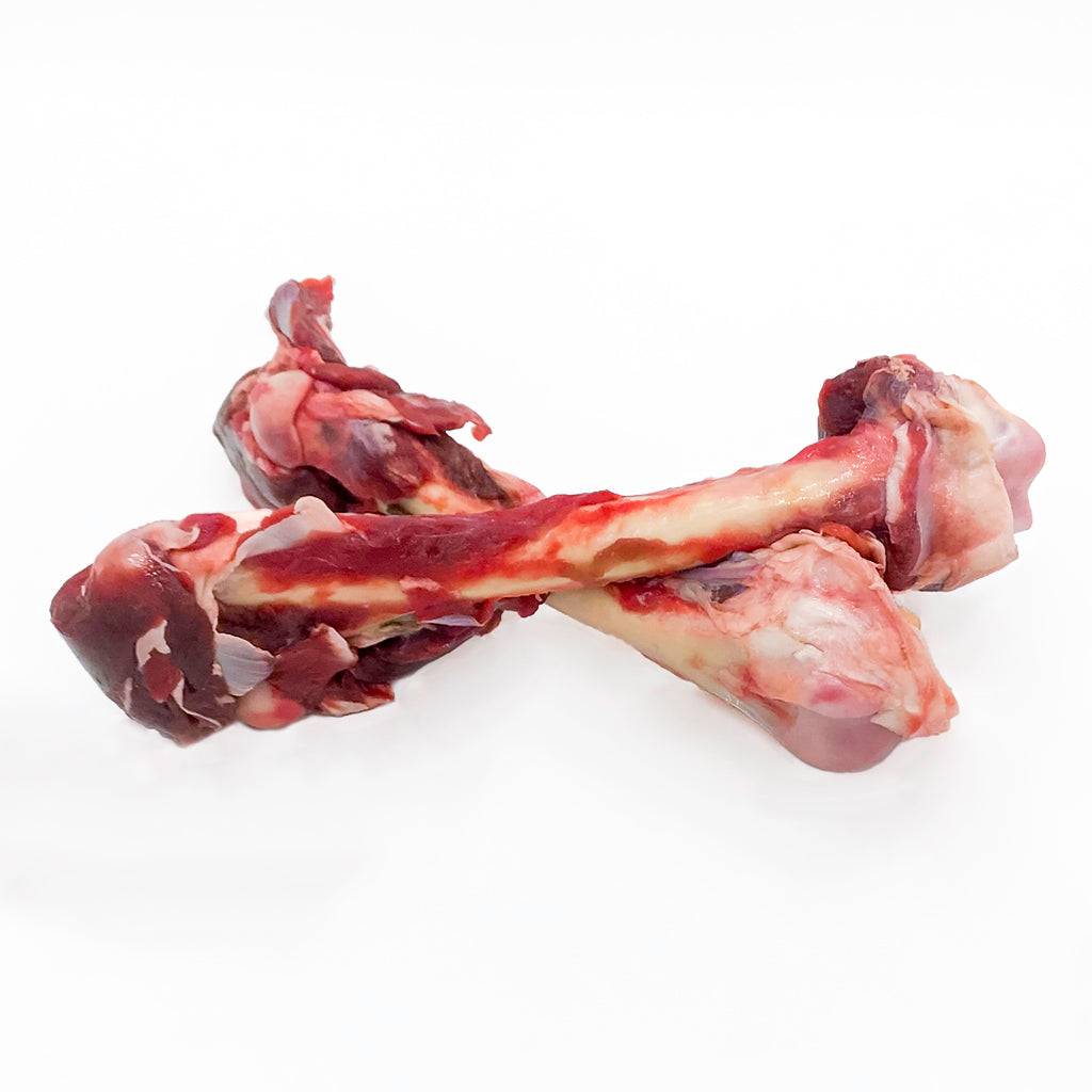 Two raw roo thigh bones for dog dental hygiene and gum health