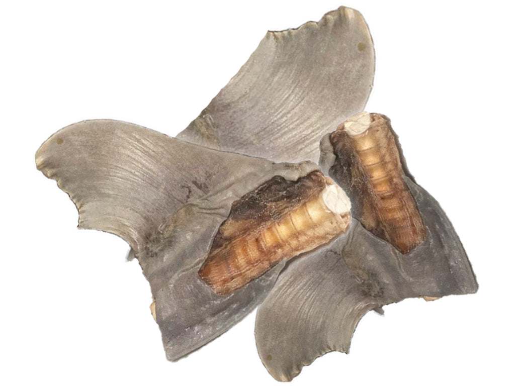Shark Tails 100g natural protein-rich hypoallergenic chew treats for healthy joints and shiny coat