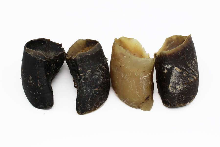 Four beef hooves dog treats on a white background