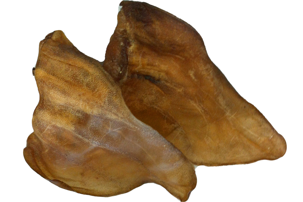 Two dried beef ears dog chews isolated on white background