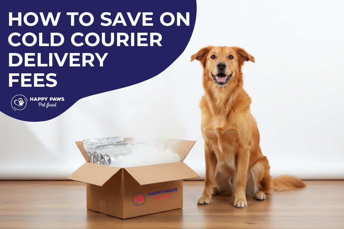 A happy dog sitting next to a cold delivery box, representing frozen pet food delivery cost savings