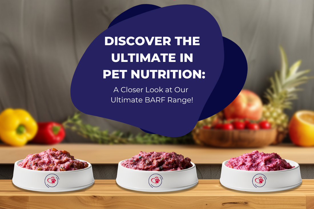 Discover the Ultimate in Pet Nutrition – A Closer Look at Our Ultimate BARF Range!