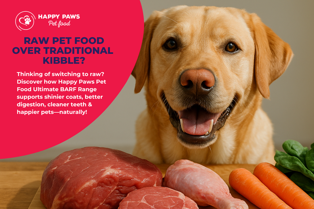 Happy dog sitting by fresh raw pet food from Happy Paws Pet Food