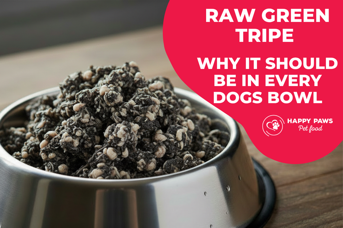 Raw minced green tripe in a stainless steel dog bowl on a timber surface — Australian grass-fed beef tripe, rich in probiotics and digestive enzymes for dogs
