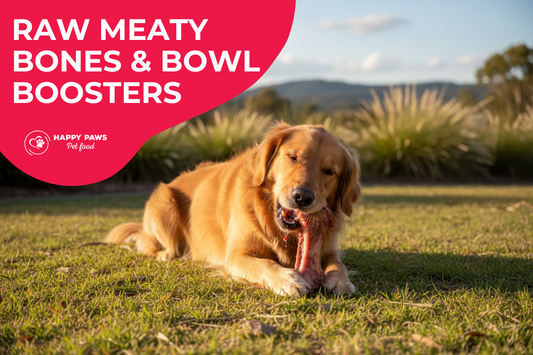Happy dog chewing on a raw meaty bone outdoors, demonstrating natural dental health and species-appropriate nutrition
