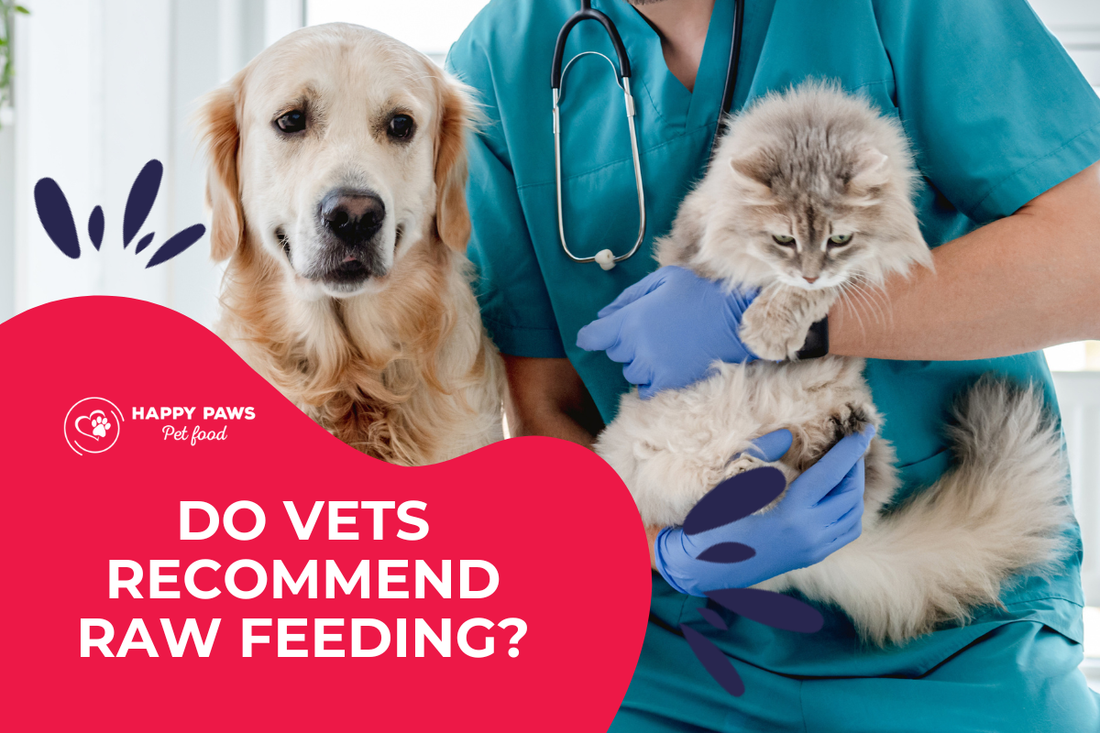 Do Vets Recommend Raw Feeding? What Pet Parents Need To Know