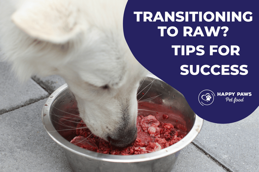 Tips for success from Happy Paws Pet Food when transitioning to raw feeding.