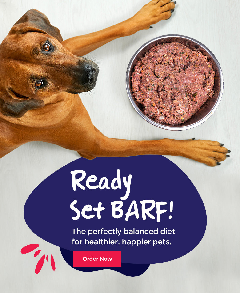 Happy Paws Pet Food Raw Food BARF Bones Treats