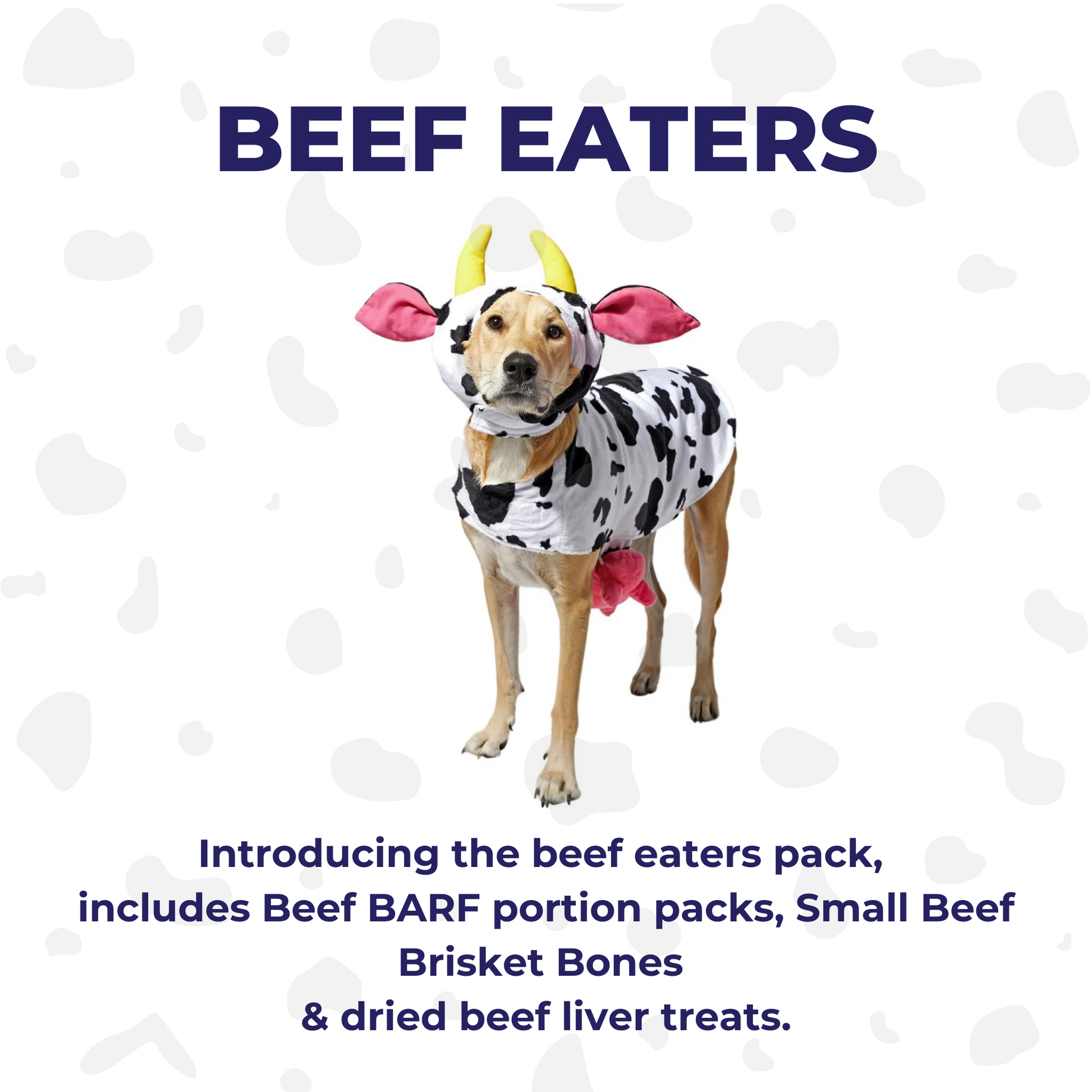 Beef Eaters Portion Packs Mixed Box