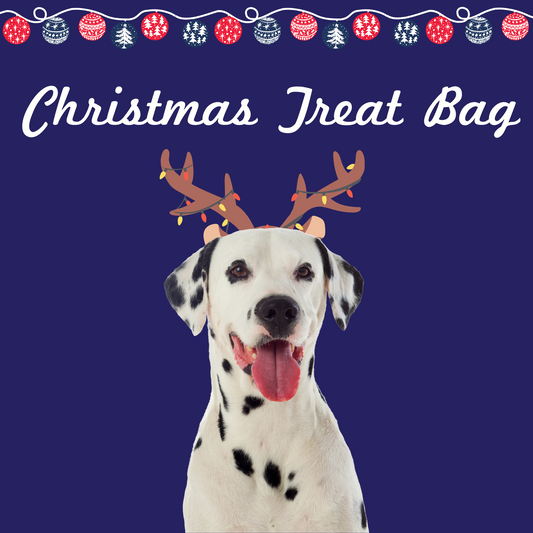 Christmas Treat Bag