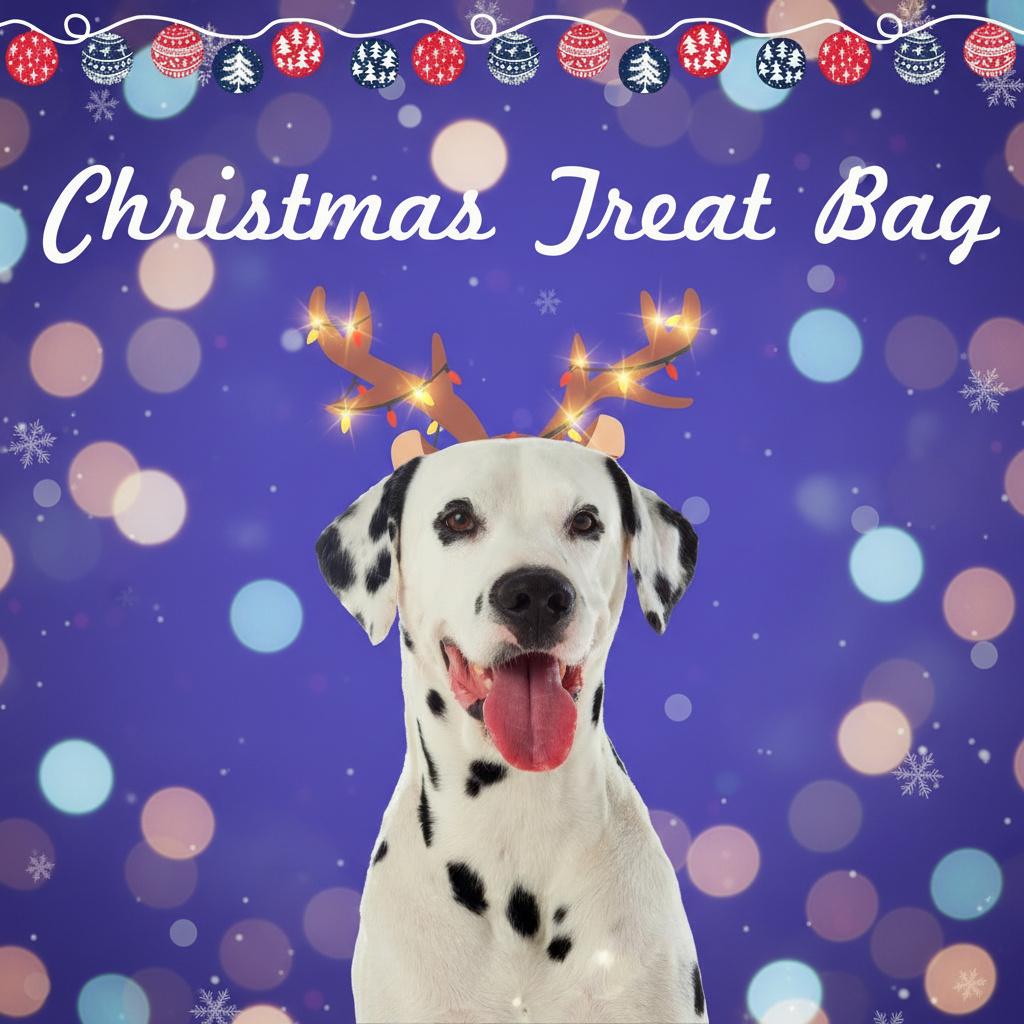 Christmas Treat Bag