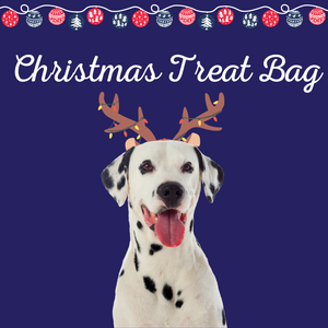 Christmas Treat Bag - Happy Paws Pet Food