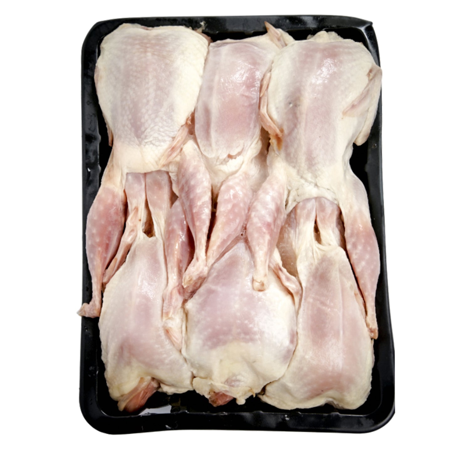 Quail Large - Happy Paws Pet Food